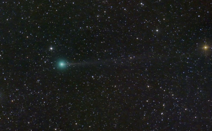 Cometa Nishumura