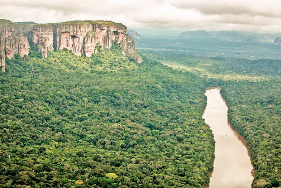 Vista de la Amazonia