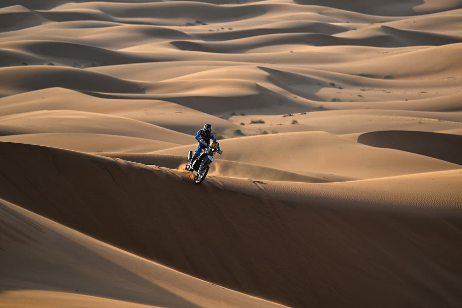 Dakar motos