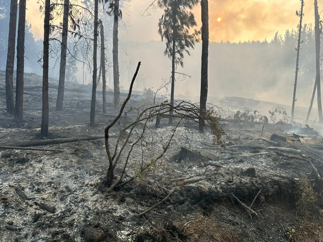 86% de municipios del país en riesgo de emergencia: IDEAM