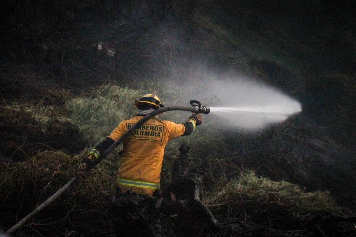 Piden acciones al Gobierno para proteger zonas afectadas por incendios
