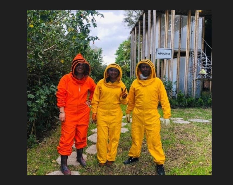 Proteccion de abejas