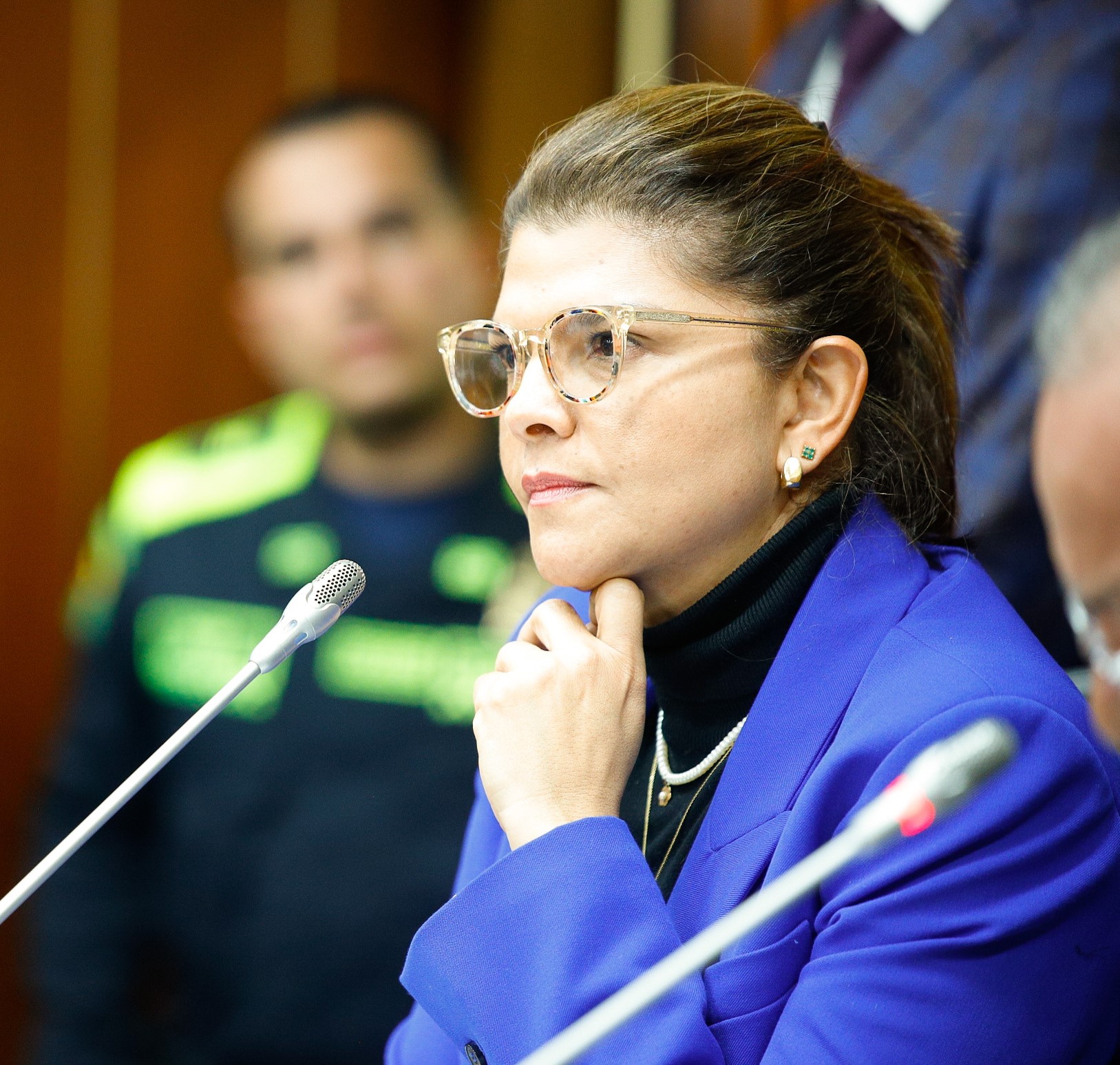 Senadora Liliana Bitar / Senado de la República
