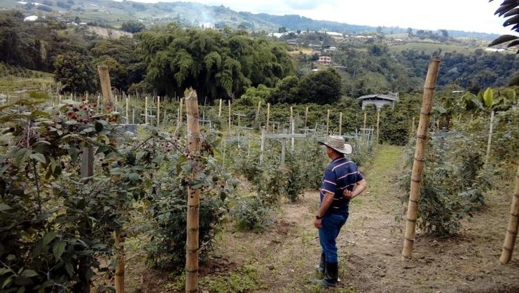 Emiten alertas por compra de predios con posibles sobrecostos