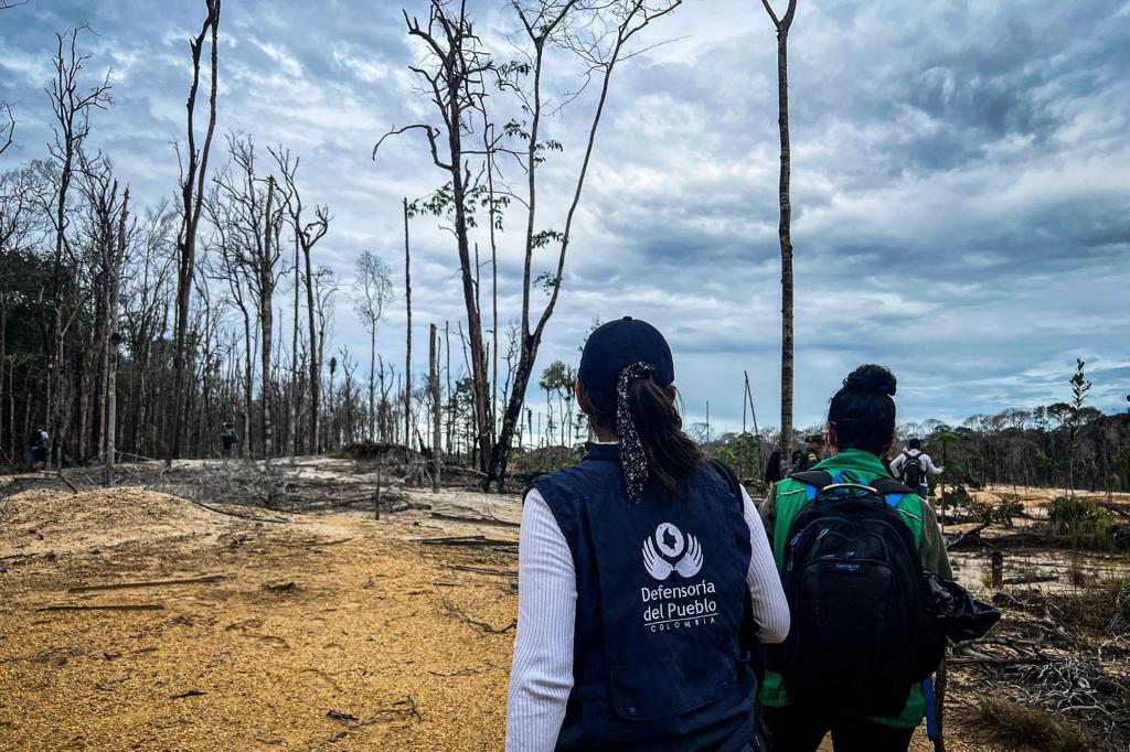 Alerta riesgos contra liderazgos ambientales por accionar de ilegales 