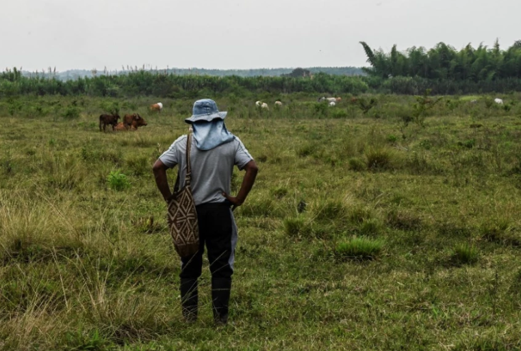 campesino