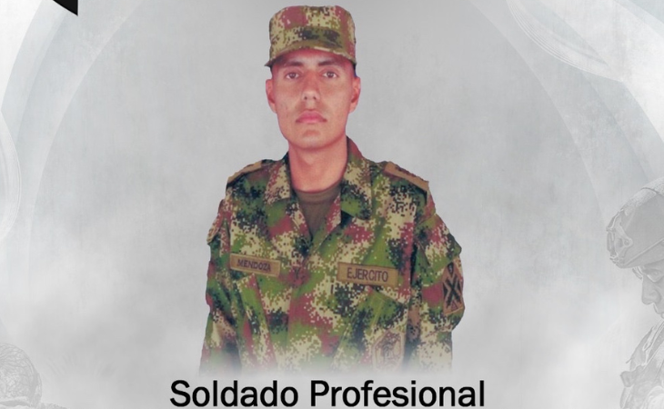  soldado profesional 
