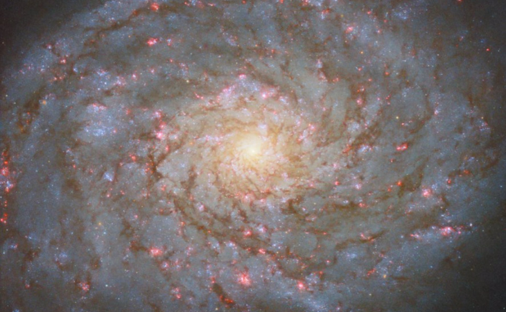 Galaxia NGC 4689 - NASA