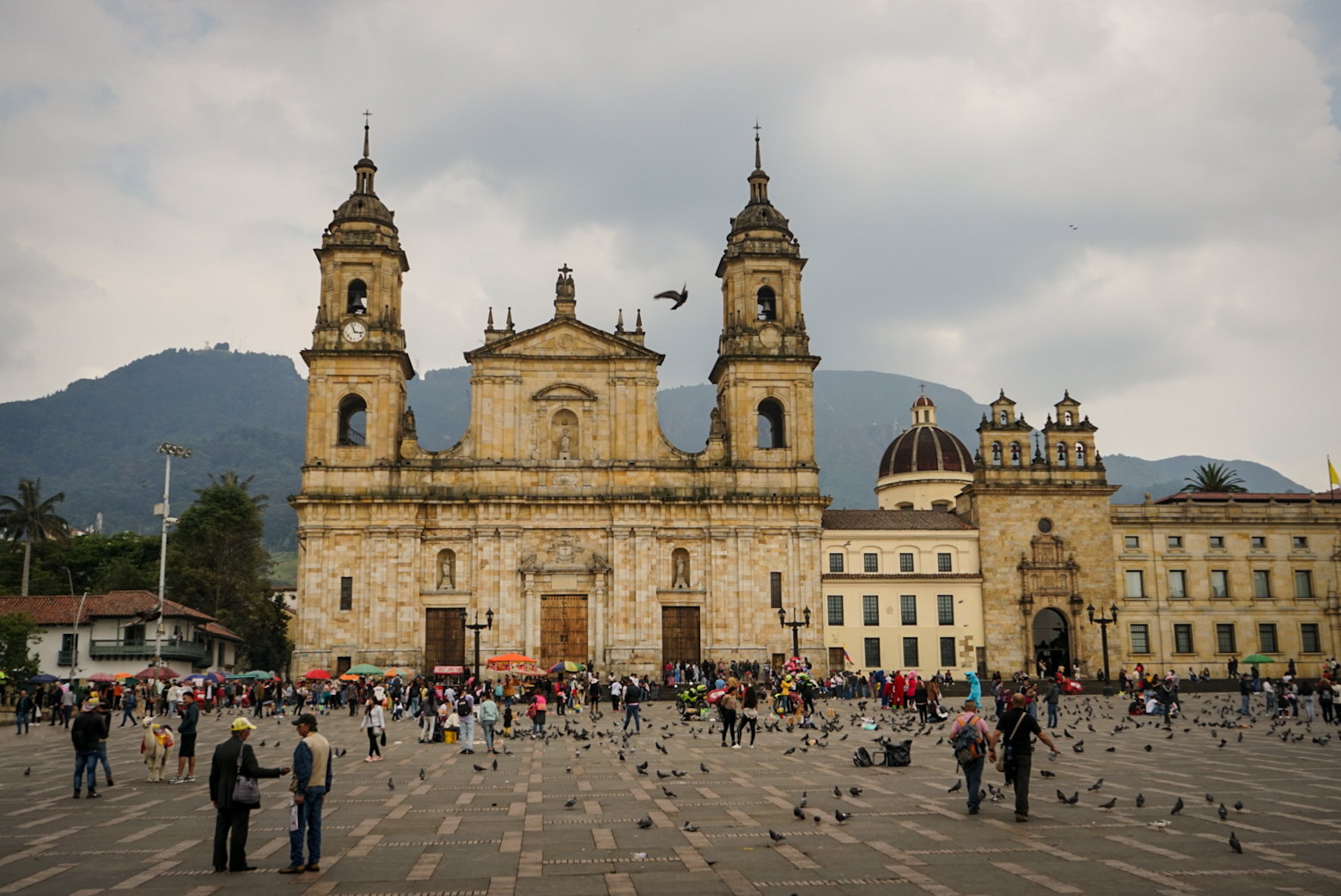 Catedral Primada de Bogotá