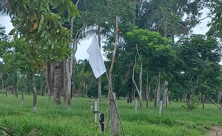 Banderas blancas en Puerto Rondón