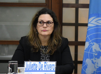 Juliette de Rivero, alta comisionada de la ONU en Colombia