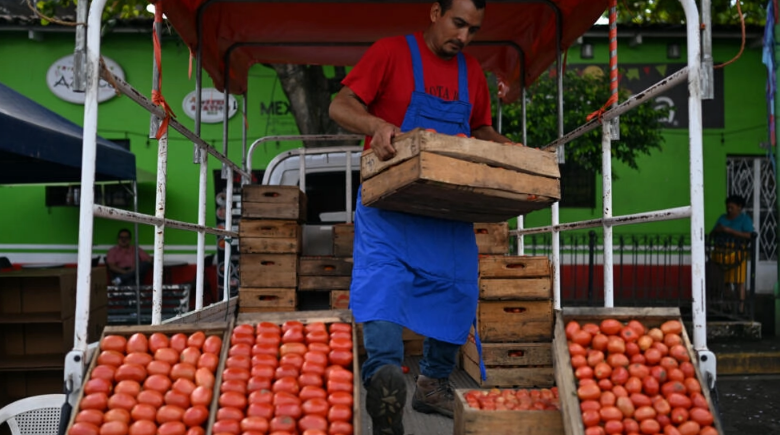 Un vendedor carga cajas de tomates en un agromercado