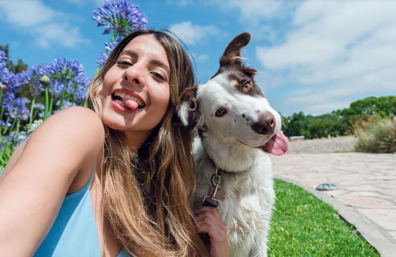 Celebre el Día mundial del perro con estas actividades recreativas en Bogotá 
