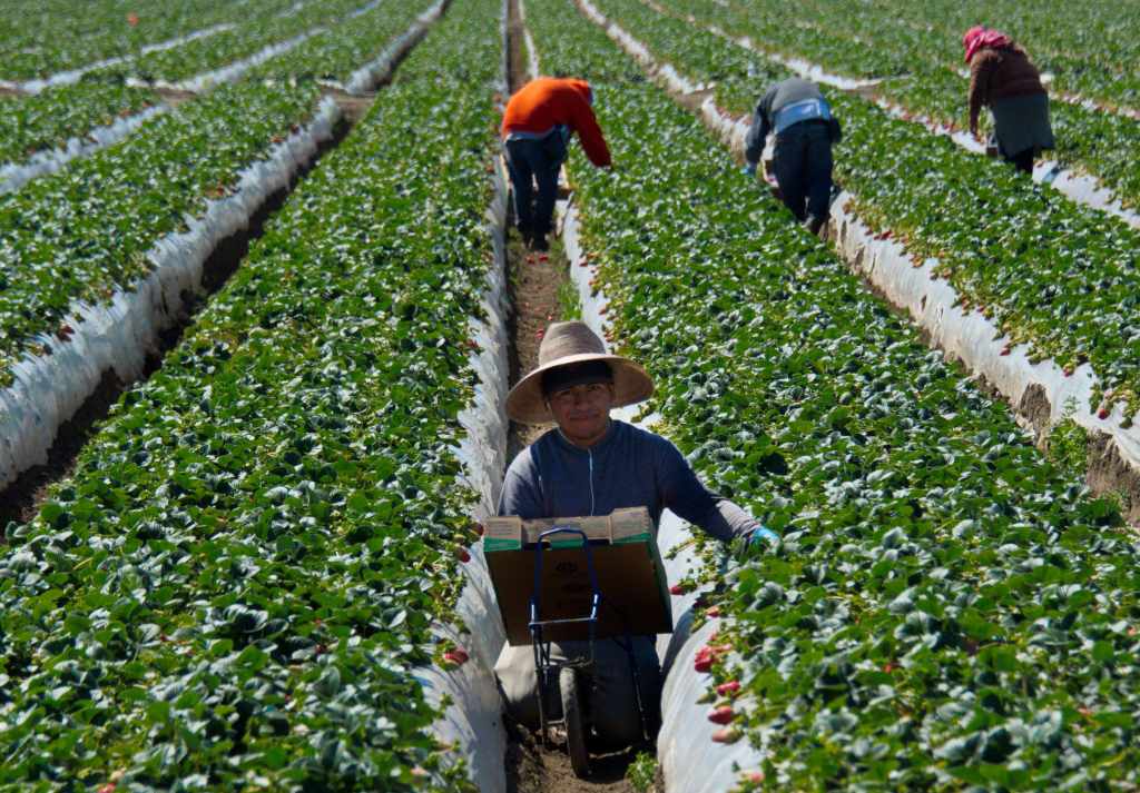 Inversiones en agro