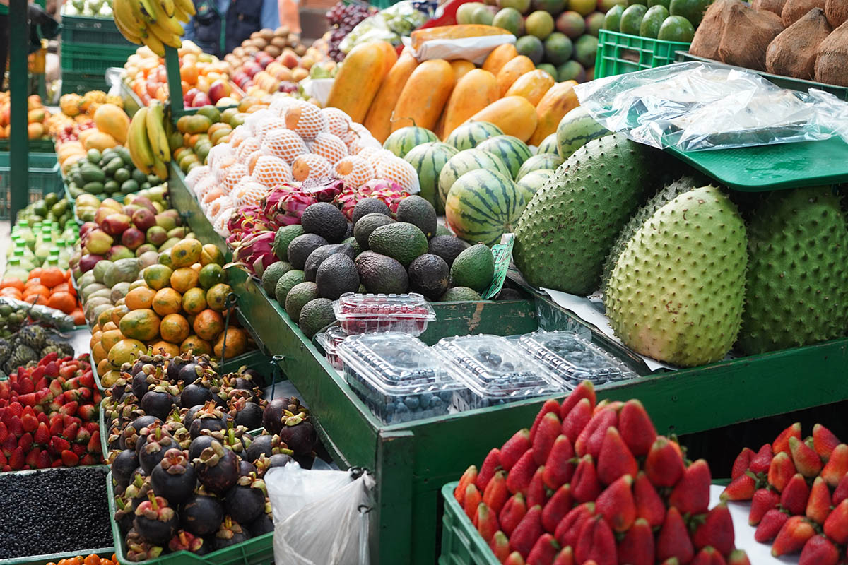 ALIMENTOS