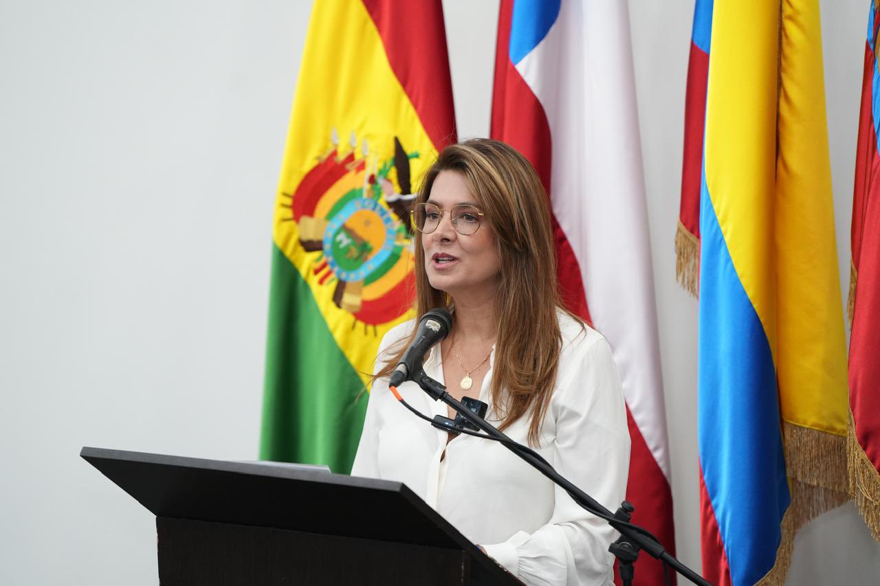 Comisión Asesora de Relaciones Exteriores, ¿un saludo a la bandera?