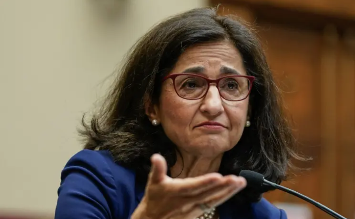 Minouche Shafik