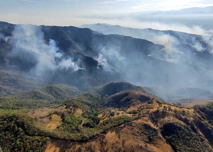 INCENDIOS 