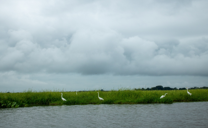 Cienaga de Pijino