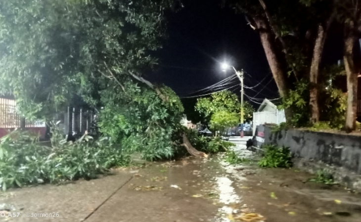 Vendaval en Barranquilla