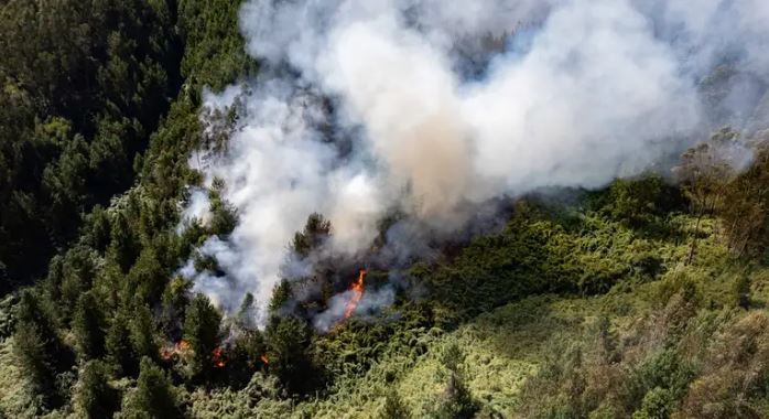 Incendios forestales en Colombia