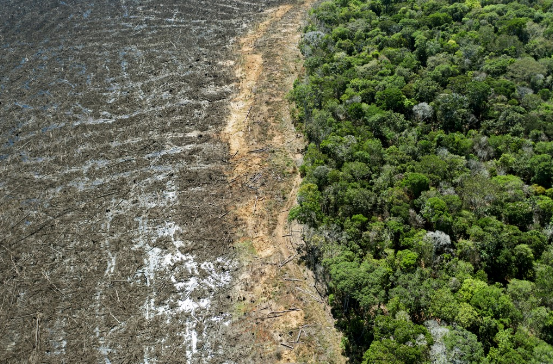 Sequia del Río Amazonas