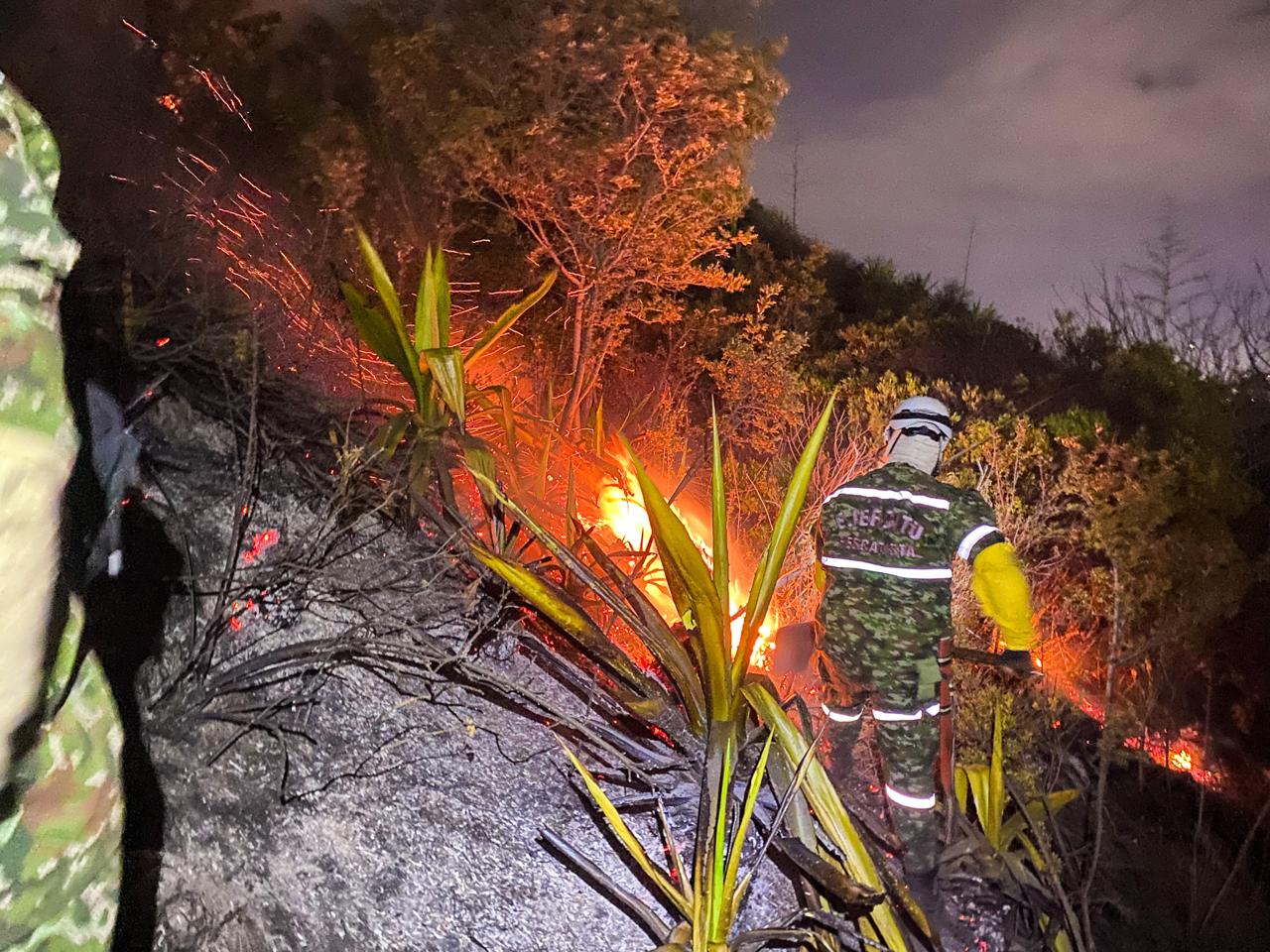 Incendios forestales en Colombia