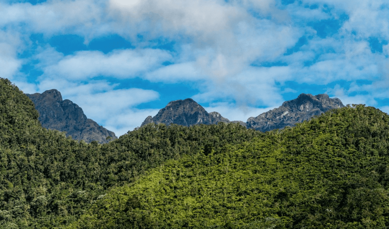 Los Farallones