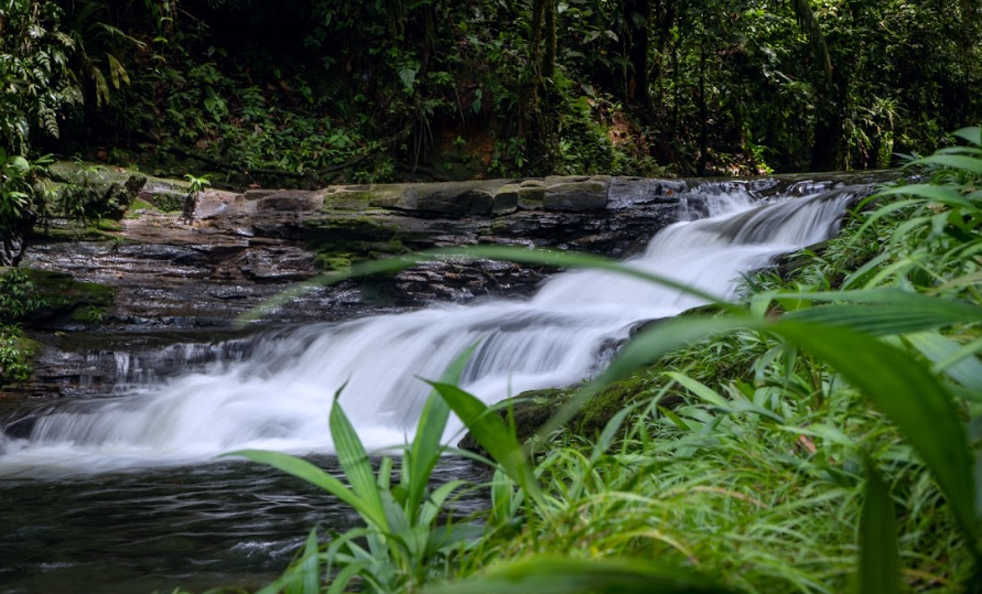 Codechocó