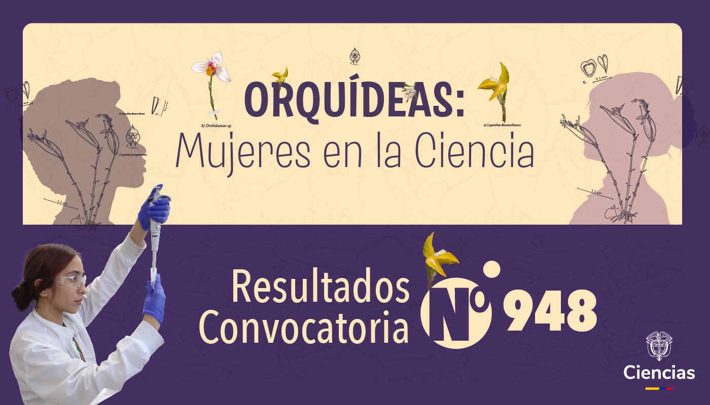 minciencias 