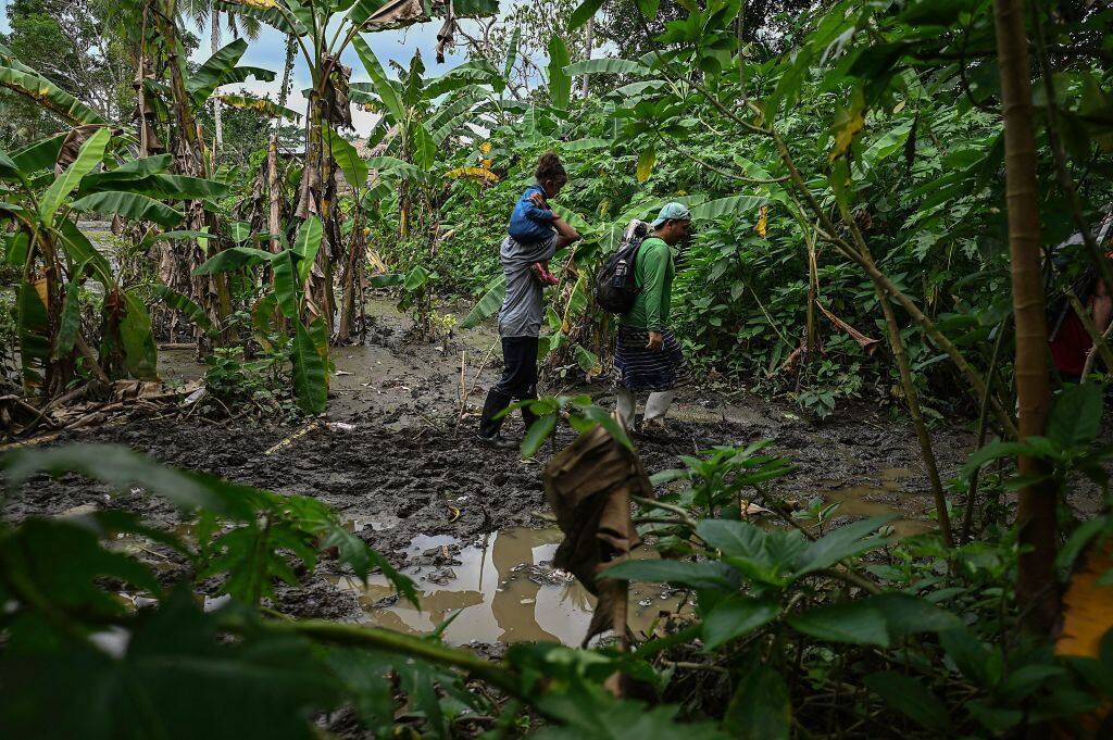 Más de 185 mil personas han transitado la selva del Darién en el 2024, según cifras de Migración Panamá / AFP 