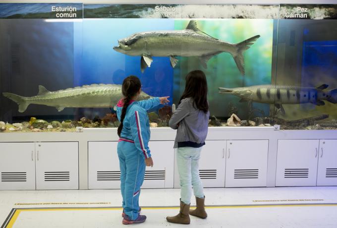 El Museo del Mar de Utadeo reabre sus puertas 