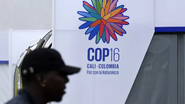 COP16