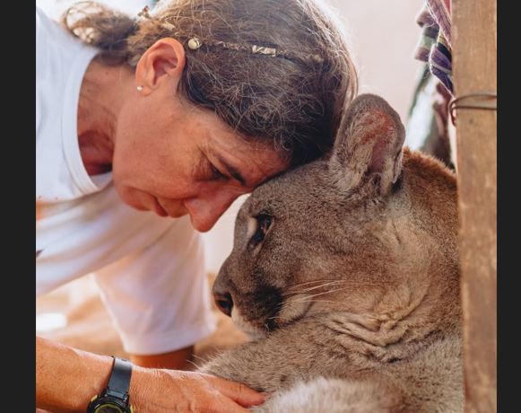 La historia de Kai Pacha, la mujer que se crio entre pumas