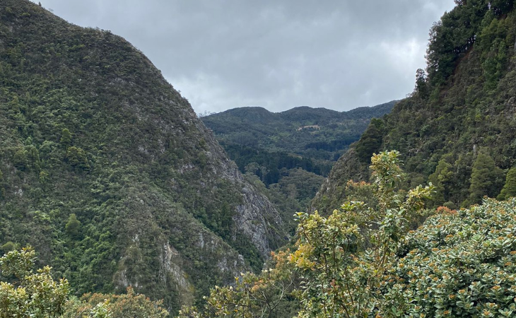 Cerros Orientales de Bogotá