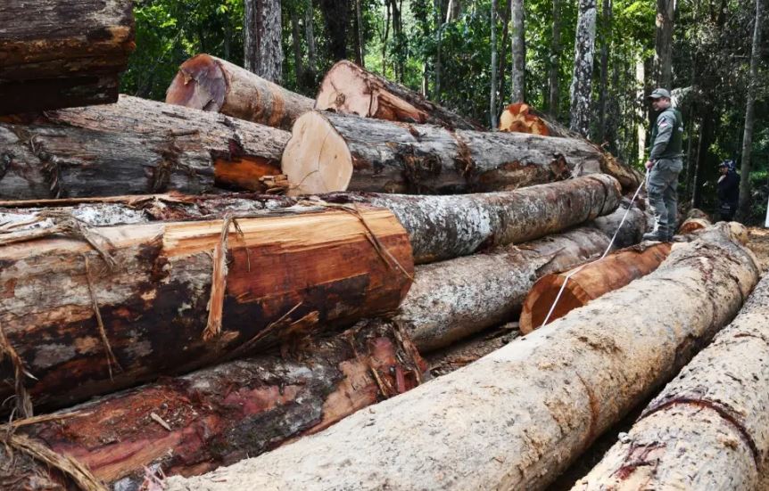 Deforestación en Colombia