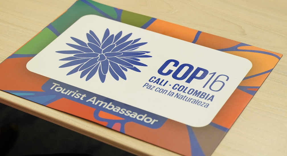 COP 16