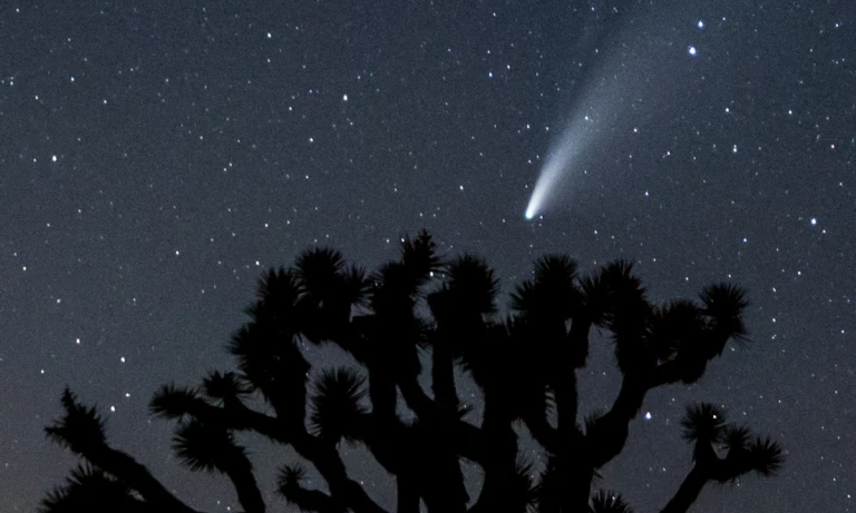 Cometa del siglo 