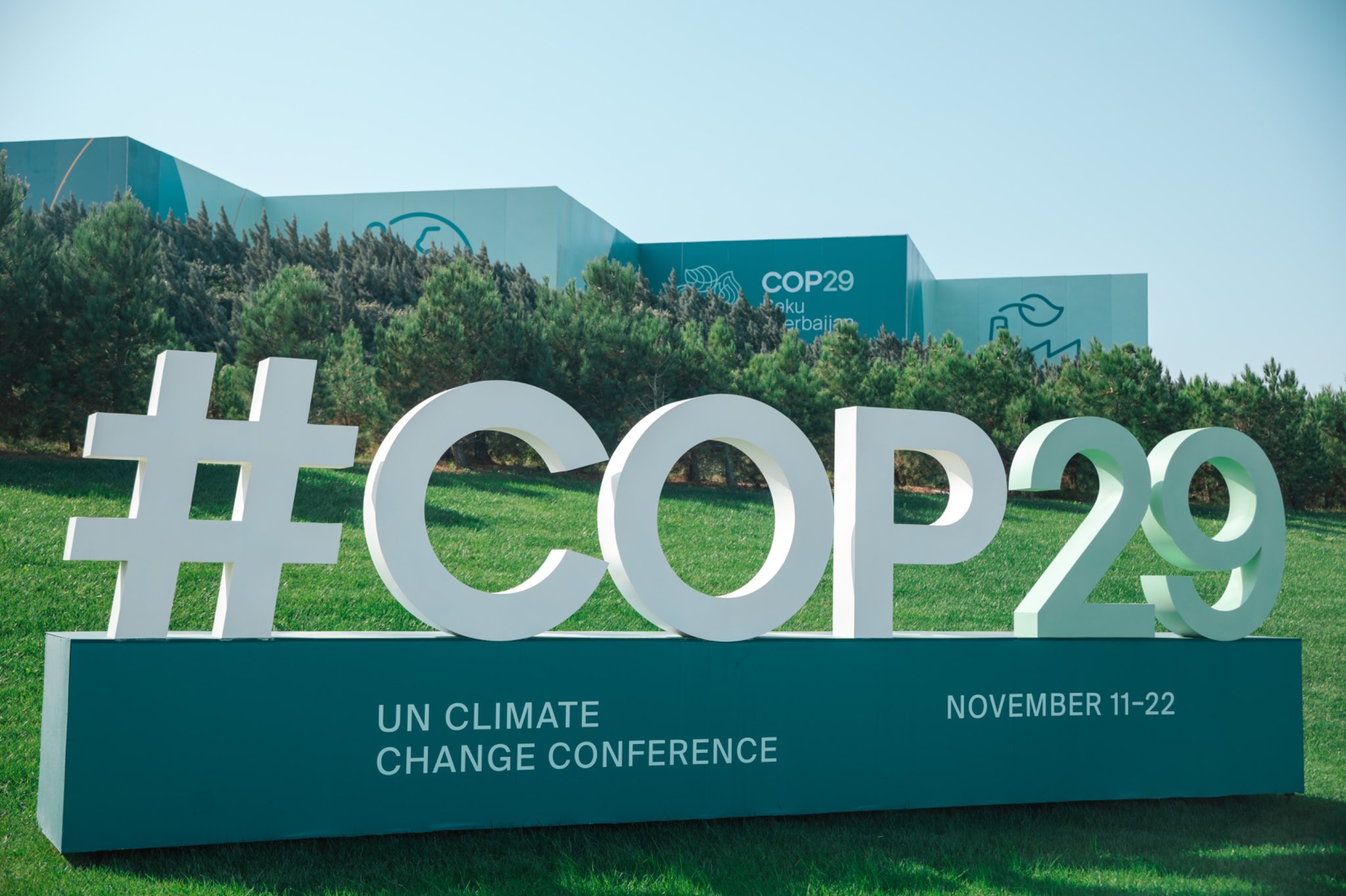 COP 29