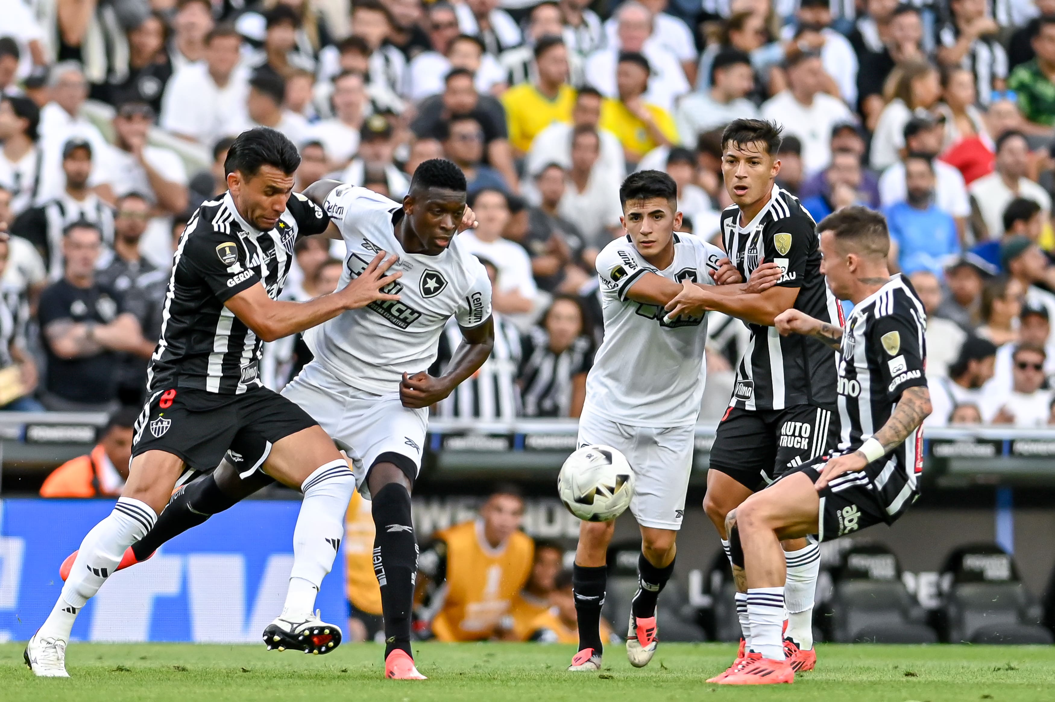 copa libertadores