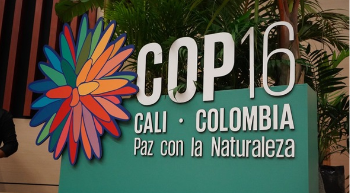 cop16