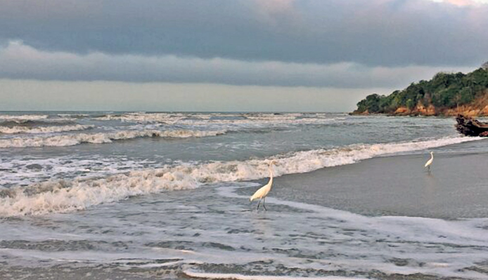 corpoguajira