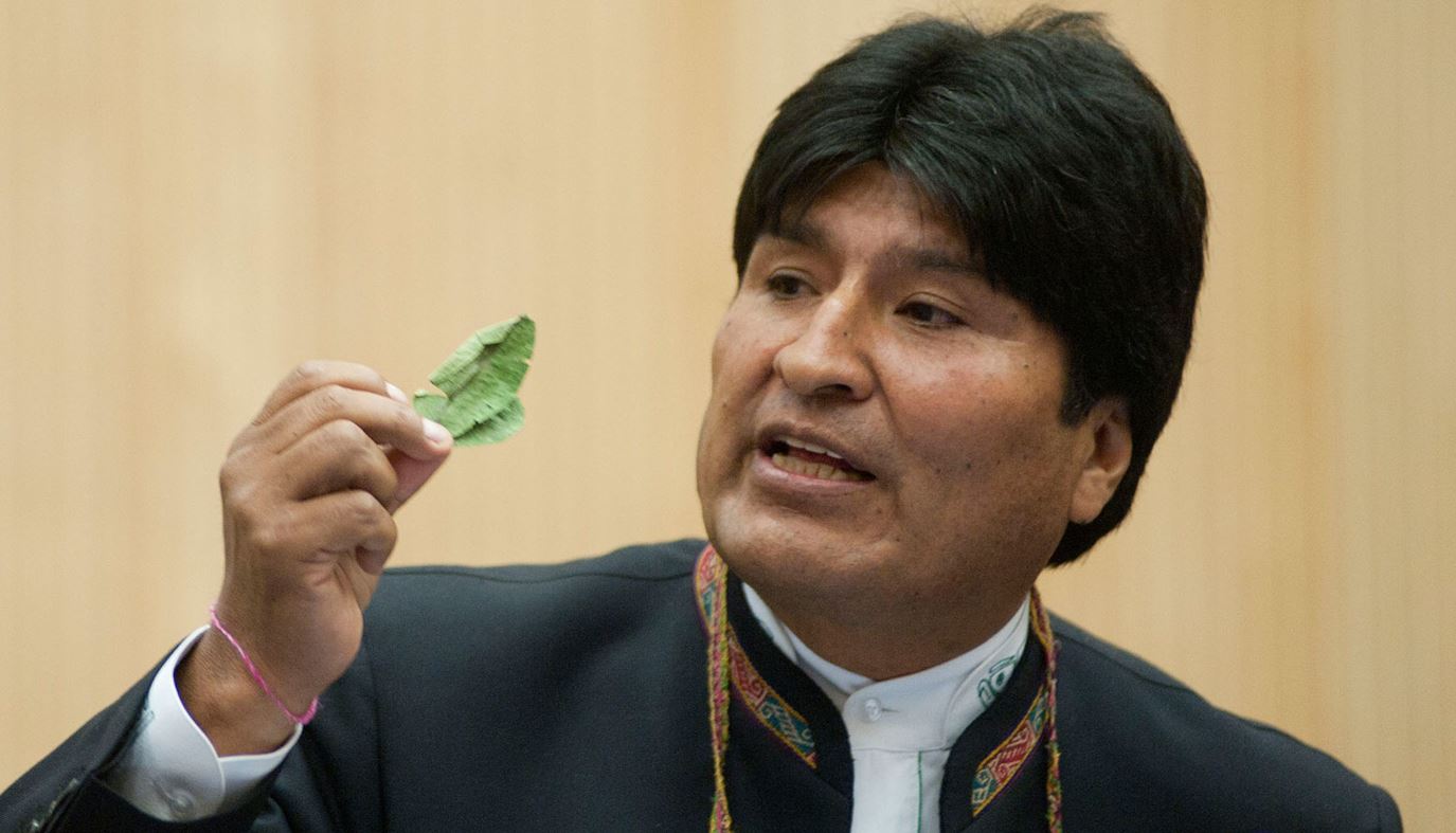 Legalizacion de la coca en Bolivia