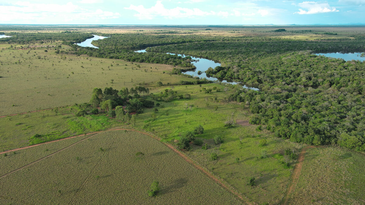  ecosistemas de altillanura de la Orinoquia