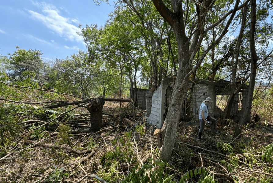 bosque en cundinamarca