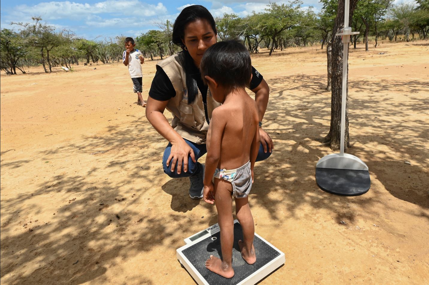 Guajira