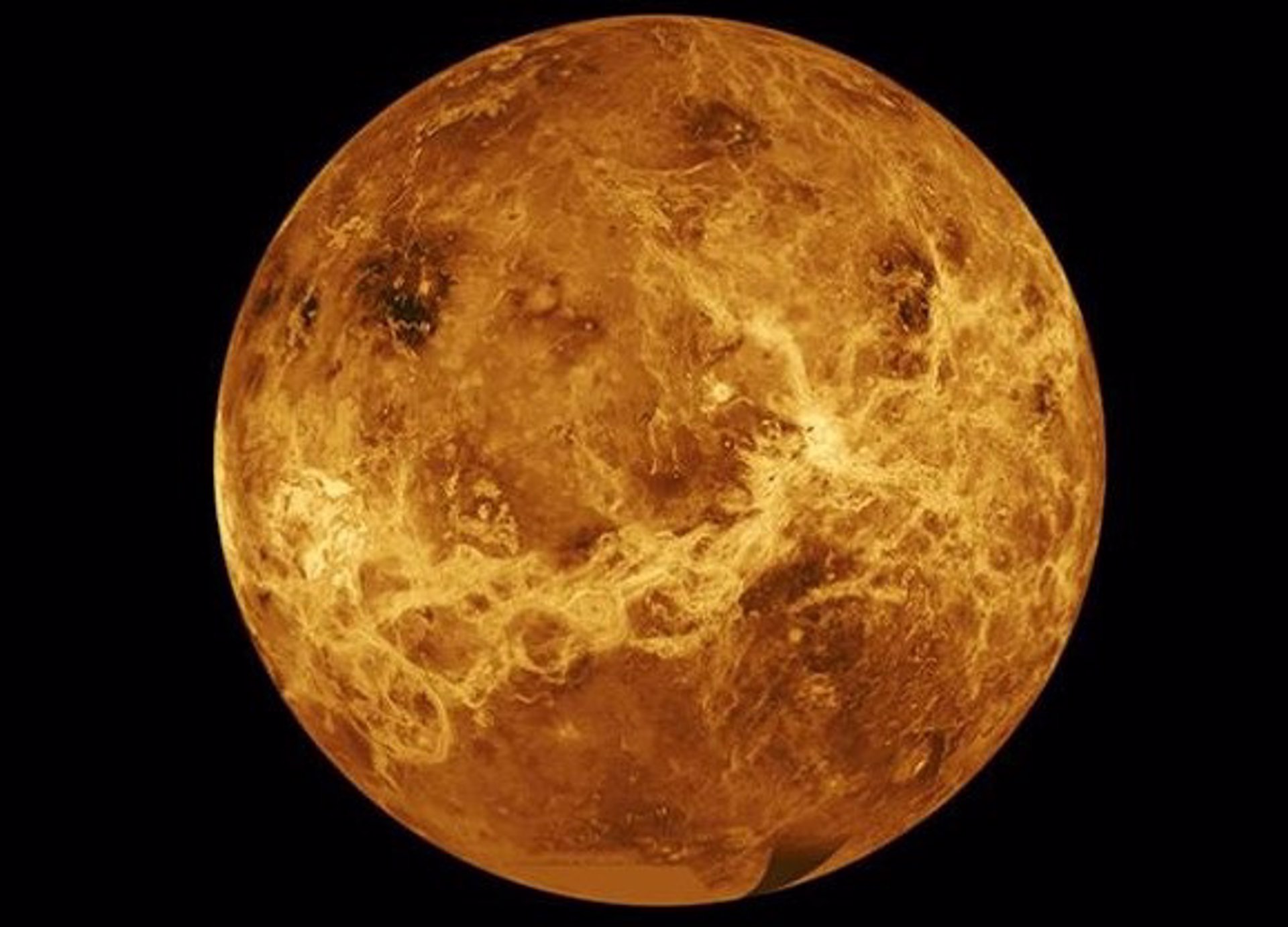 Venus VIDA