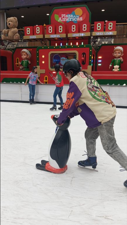 Pista de Hielo