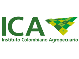 ICA