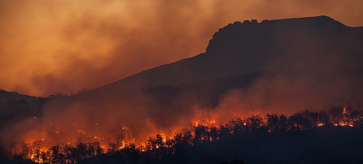 incendios forestales